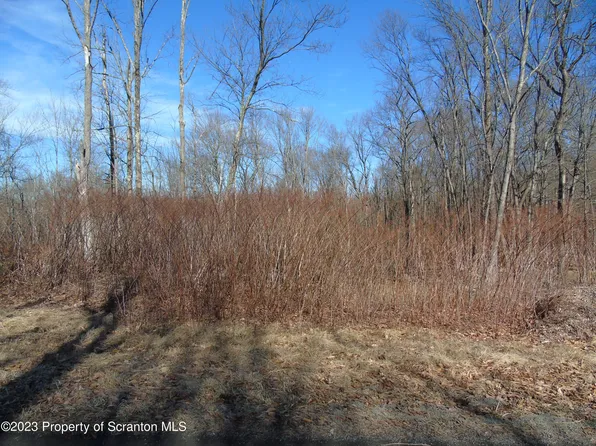 13 Blue Spruce Rd, Moscow, PA 18444