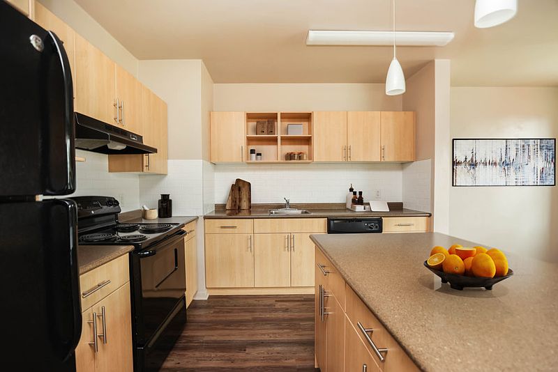 Winnipeg Apartment for rent - 1 Bedroom — photo 3