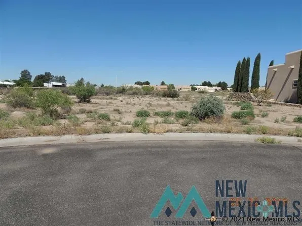 Slice Rd, Deming, NM 88030