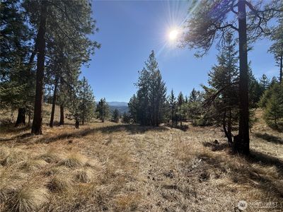 9999 Shade Tree Lane, Republic, WA, 99166