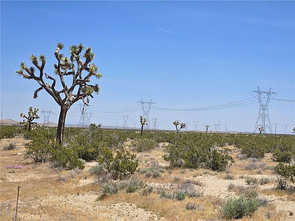 2nd image of Beaver Rd
