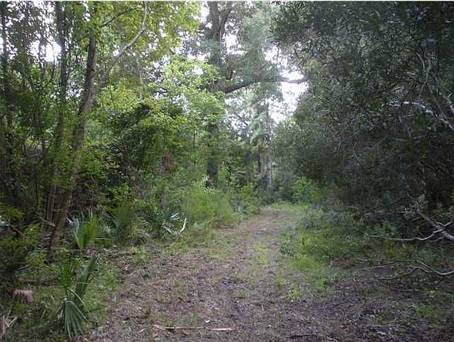2nd image of 7188 Toogoodoo Rd