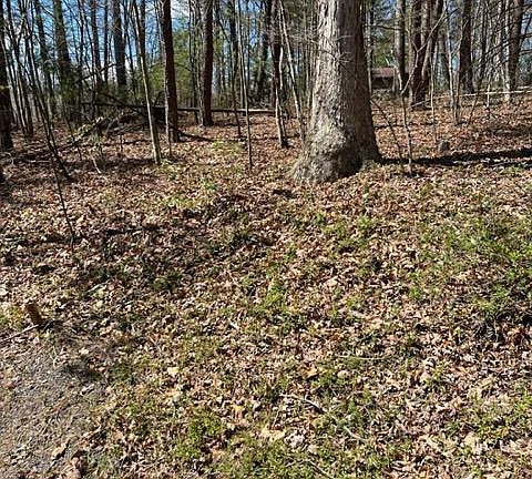 3rd image of Dogwood Dr Lot 261