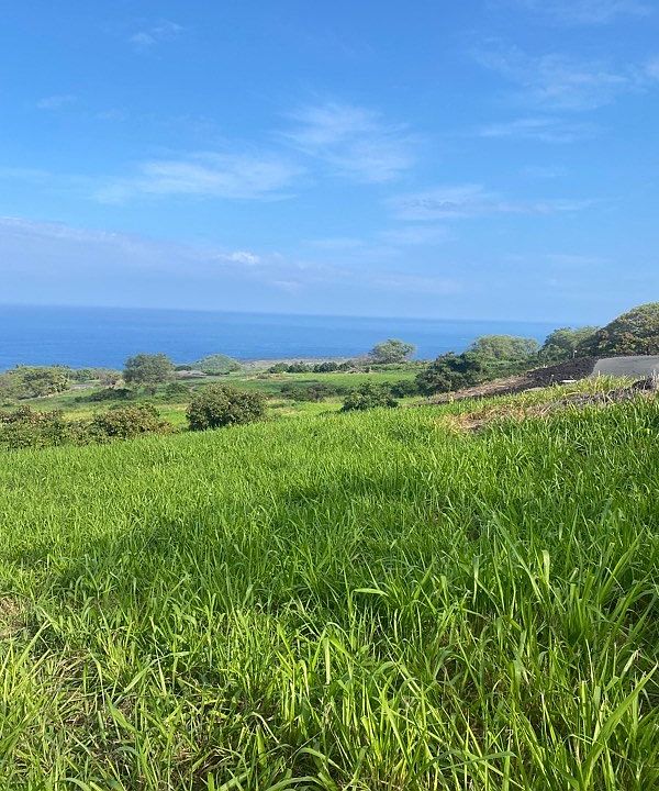 81510 Mohalahala Pl, Kealakekua, HI 96750 MLS 670017 Zillow