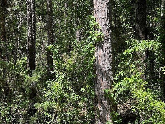 5th image of 0 Frazier Cemetery Rd
