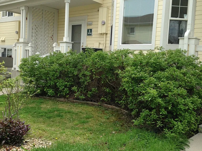 3950 Colorado Ave #B — Photo 23