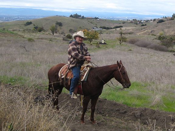 Horse and Rider out Front