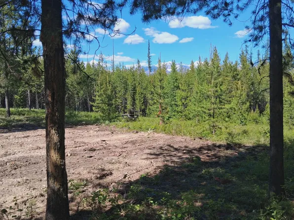 11532 N Fork Rd, Polebridge, MT 59928