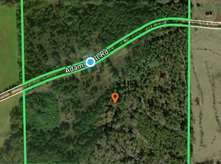 250 Adams Mill Rd, Clayton, AL 36016