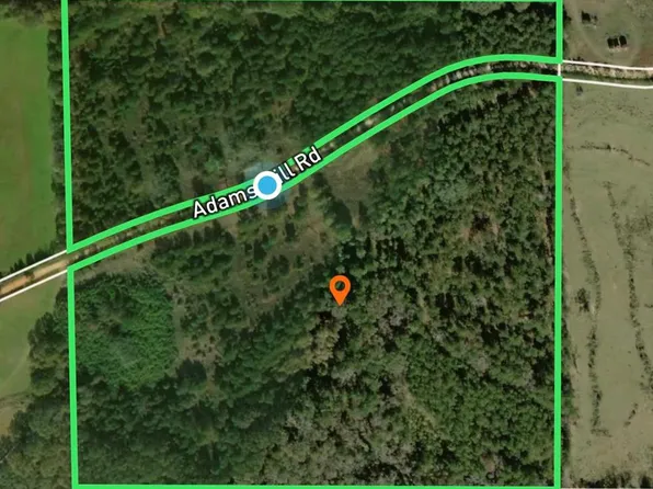 250 Adams Mill Rd, Clayton, AL 36016