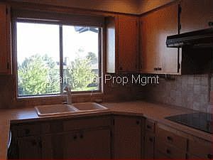 Kitchen view 3