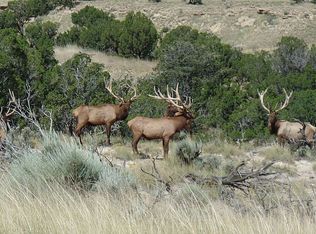 0 McCarrell Rd, Chambers, AZ 86502