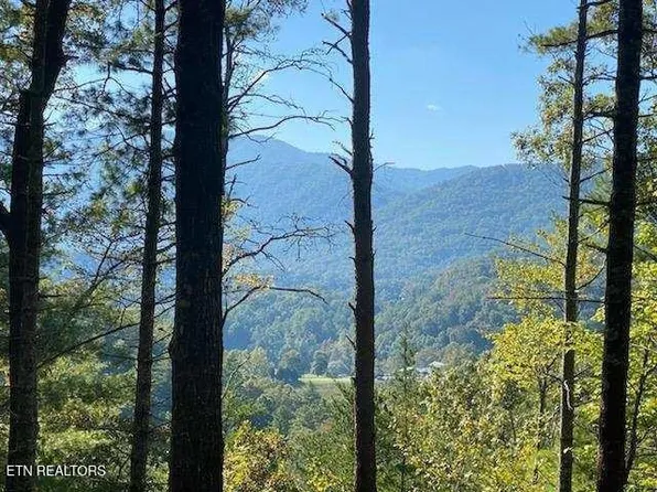849 Hawk View Rd Lot 12, Townsend, TN 37882