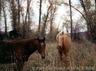 9-9 Woodland View Dr, Park City, UT 84060