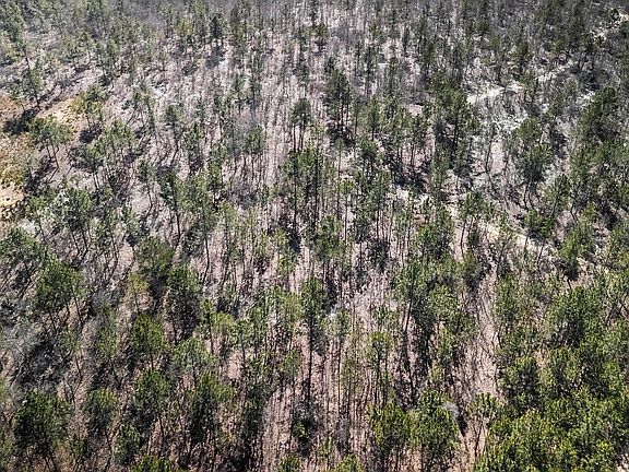 4th image of 1B Spring Creek Rd