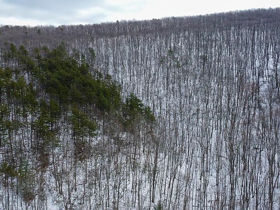3rd image of Cubbage Hollow Rd Lot 75