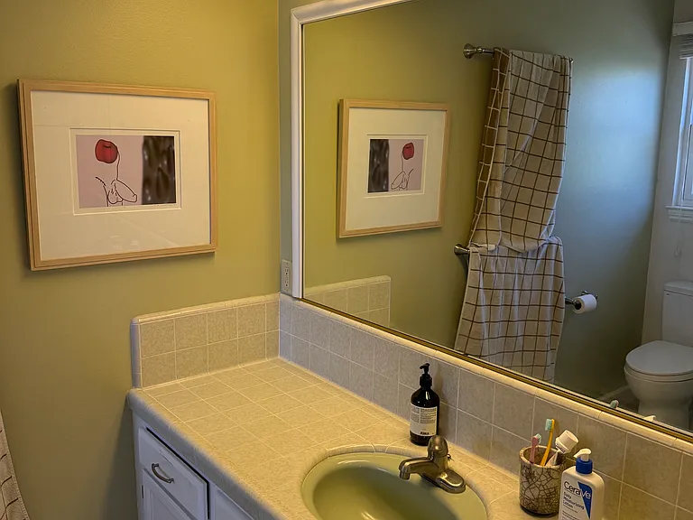 Master bath sink area
