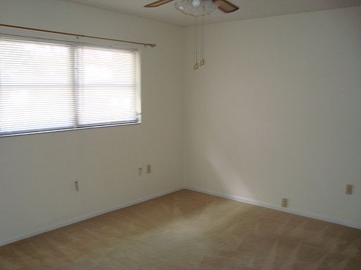 5th image of 919 Plato Ave