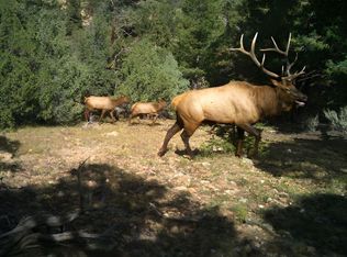 Los Fuertes, San Luis, CO 81152