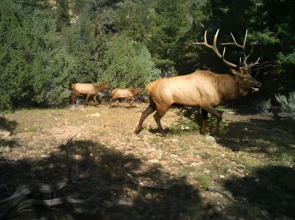 Los Fuertes, San Luis, CO 81152