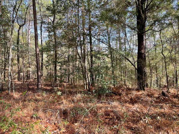 555 Whitehead Ln, Jackson, AL 36545