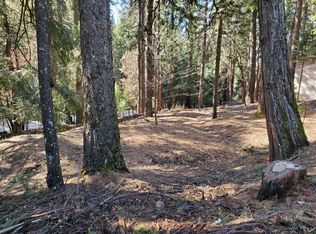 3280 Gold Ridge Trl, Pollock Pines, CA 95726