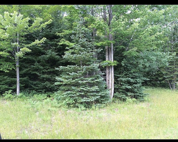 2nd image of LOT 33 Matt L.4 Dr
