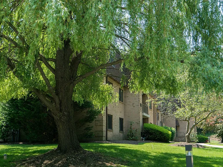 La Maison Apartments — Photo 92