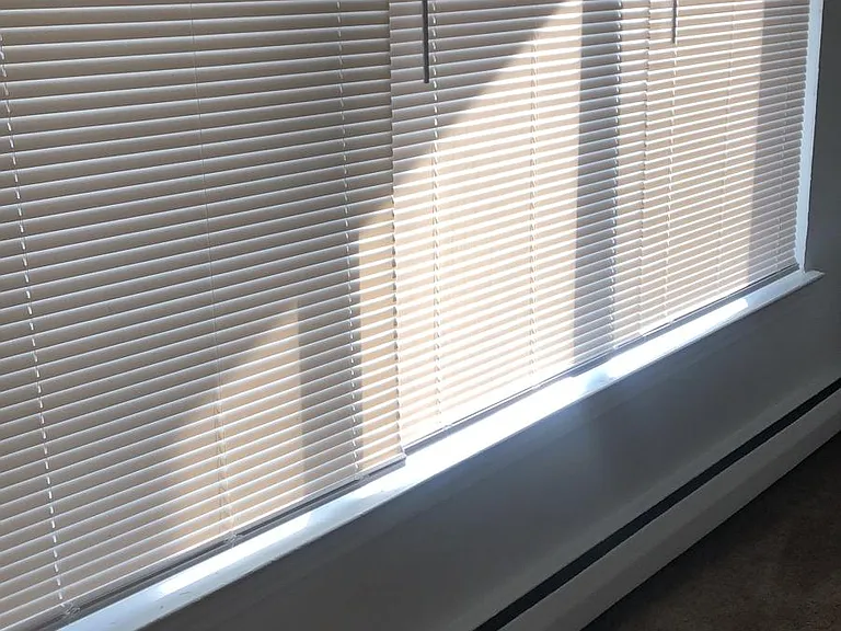 Colonial Manor — Photo 15