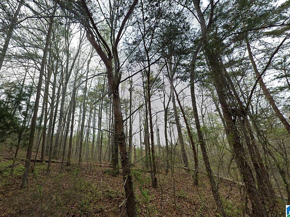 2nd image of 0 Woodland Ave #113