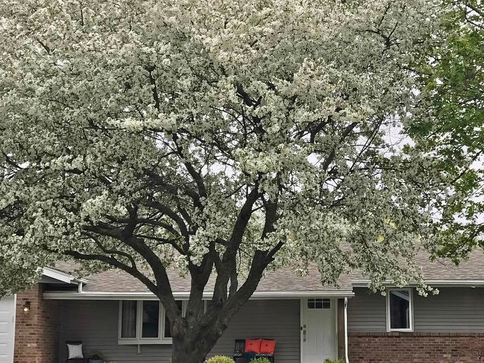 1st image of 1634 Arnold Ave