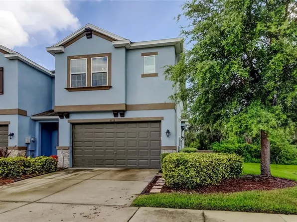 6656 Rocky Park St, Tampa, FL 33625