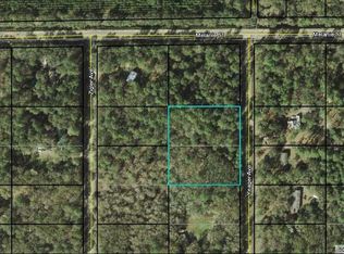 10015 Yeager Ave, Hastings, FL 32145