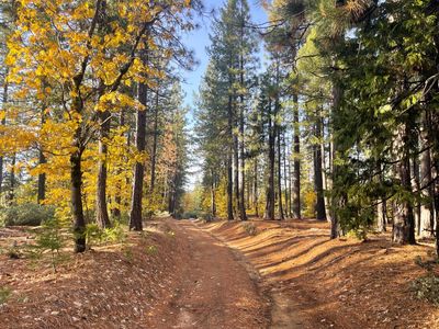 Last Chance Mine Rd, Nevada City, CA, 95959