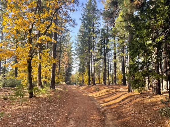 Last Chance Mine Rd, Nevada City, CA 95959