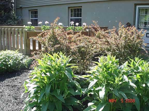 Beautiful landscaping