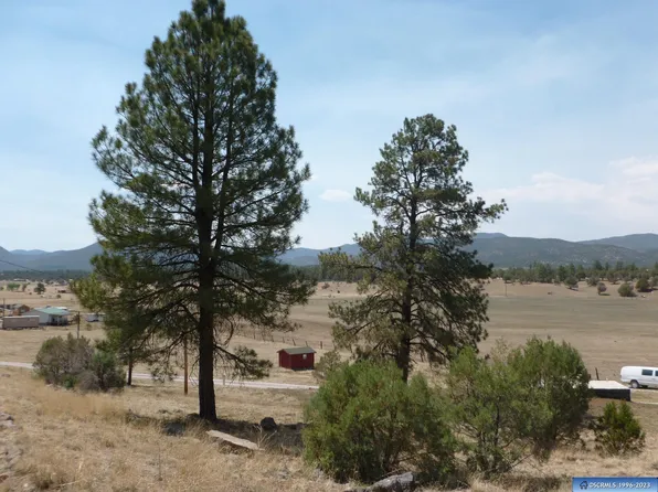 21 Stevens Rd, Reserve, NM 87830