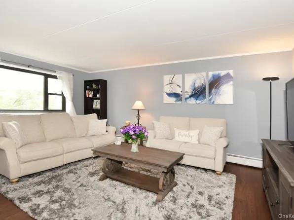 100 Clinton Avenue #4N, Mineola, NY 11501