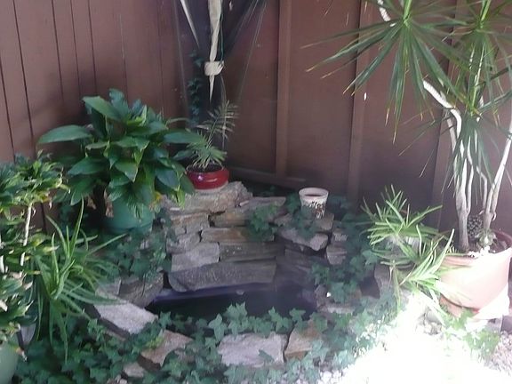 Fountain in patio