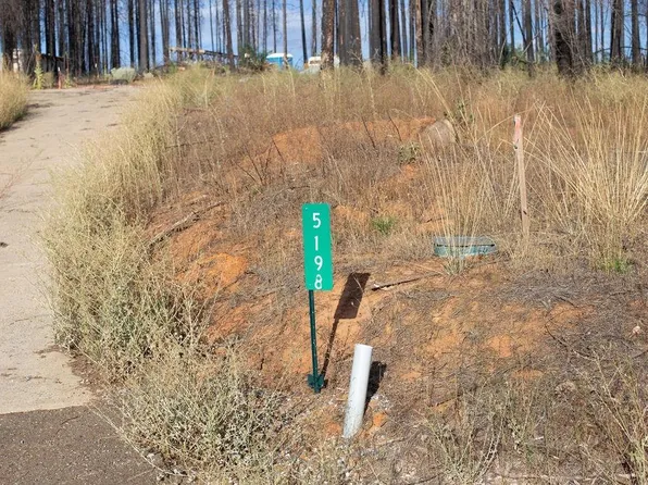 5198 Wooded Glen Dr, Grizzly Flats, CA 95636