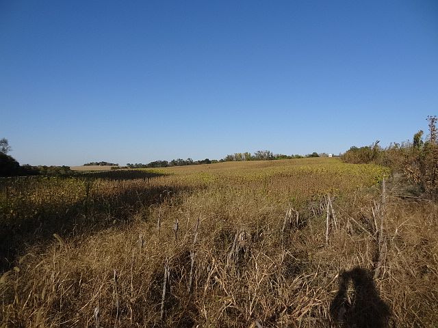 1st image of 13075 Lizzie Ln