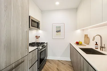 Loden at 54 Crown Street in Crown Heights