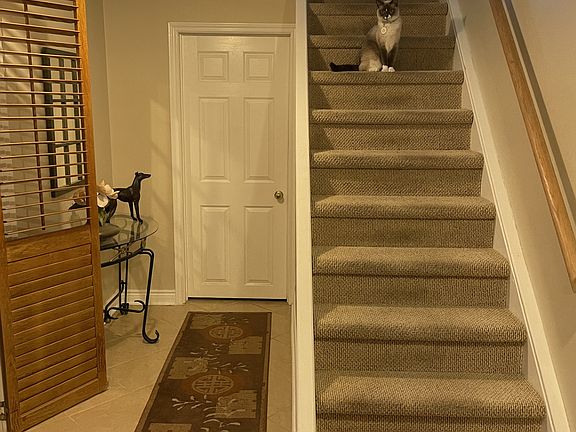 5th image of 42 Newgreen Cres