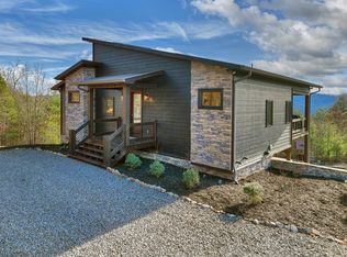 1038 Synacia Dr, Mineral Bluff, GA 30559