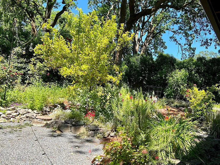 6491 Forestville St — Photo 8