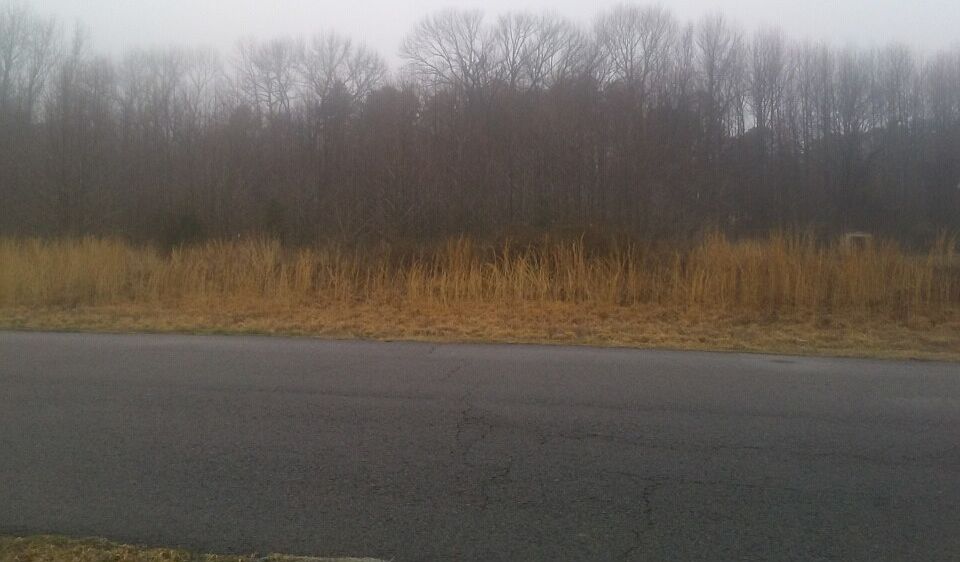 1st image of 266 Stonegate Dr