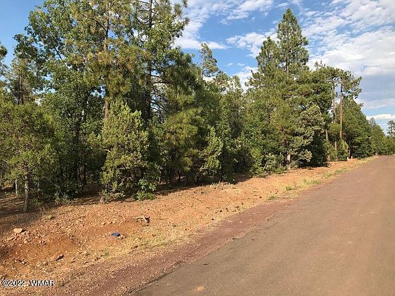 3rd image of 780 W Bear Claw Ln