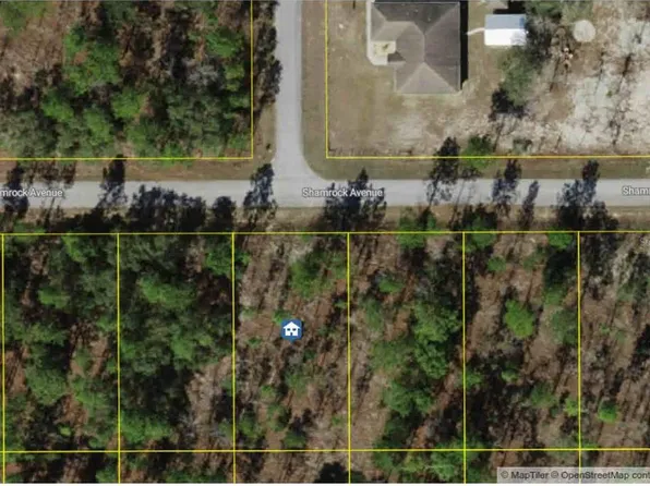 LOT 9 NW Shamrock Ave #9, Dunnellon, FL 34431
