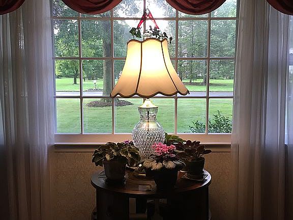 View from Living Room