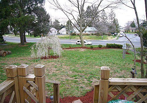 Front Park Like Lot